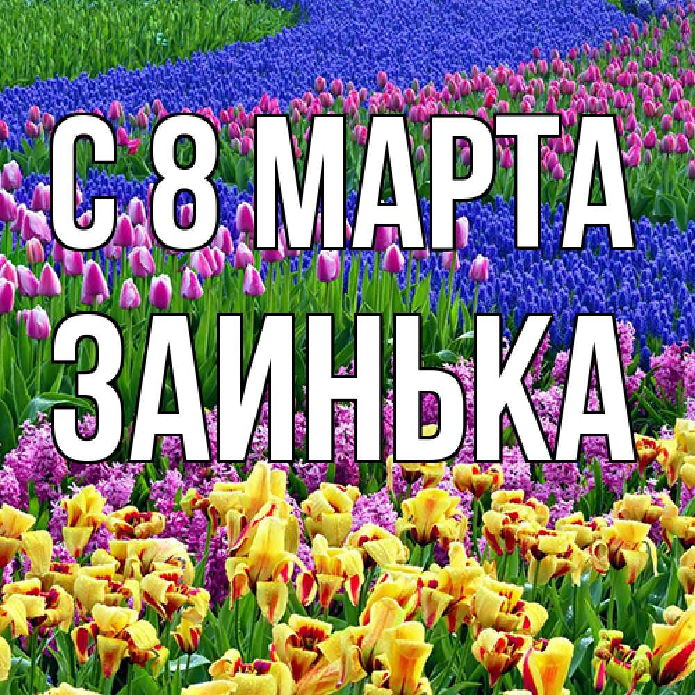 Открытка на каждый день с именем, Заинька C 8 МАРТА цветы Прикольная открытка с пожеланием онлайн скачать бесплатно 