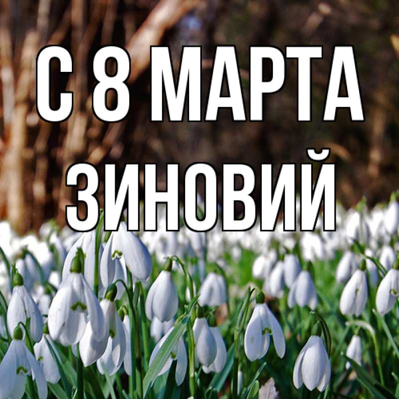 Картинка C 8 МАРТА, Зиновий