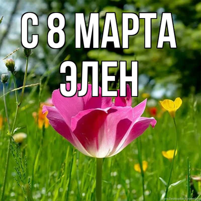 Картинка C 8 МАРТА, Элен