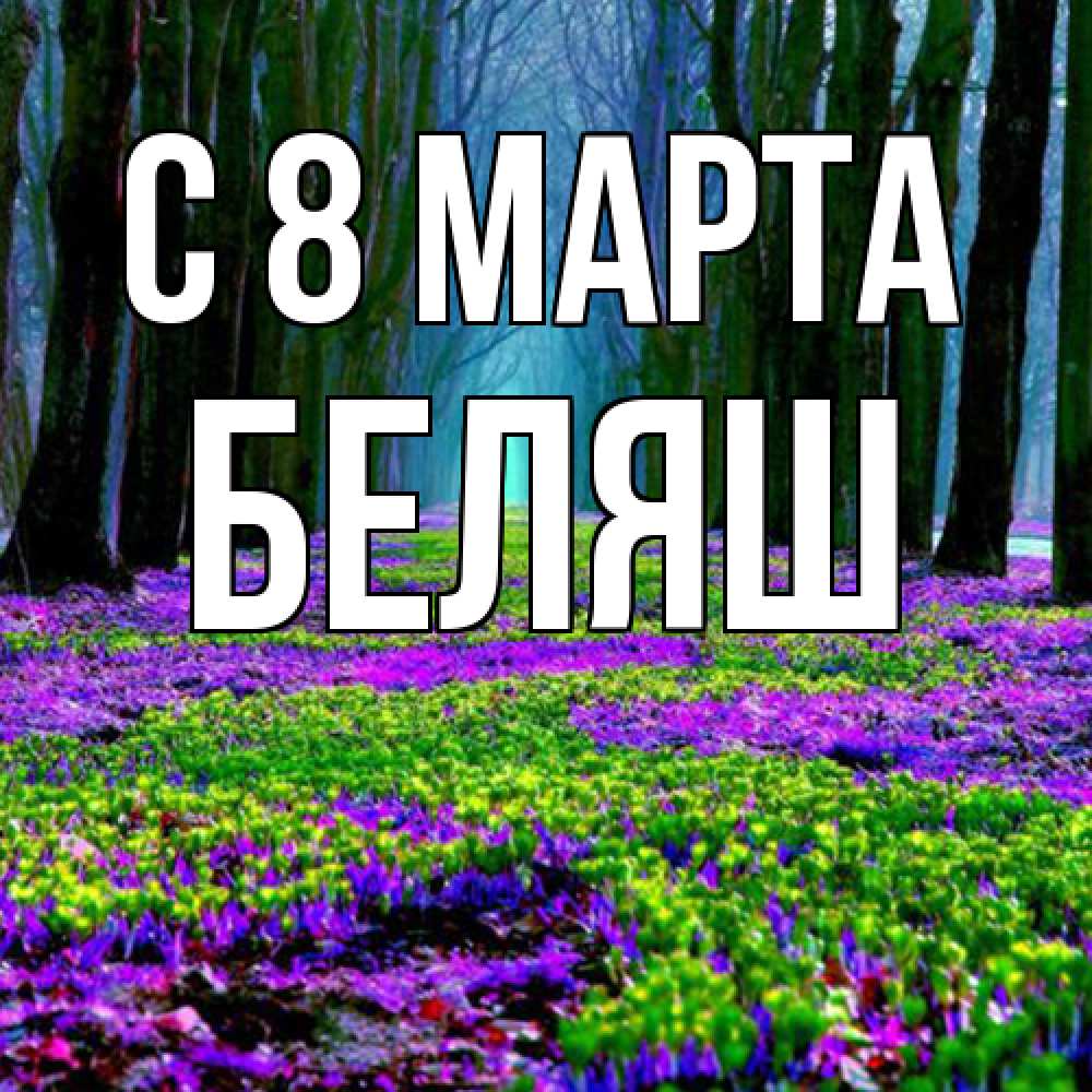 Открытка на каждый день с именем, Беляш C 8 МАРТА фиолетовые цветы в лесу 1 Прикольная открытка с пожеланием онлайн скачать бесплатно 