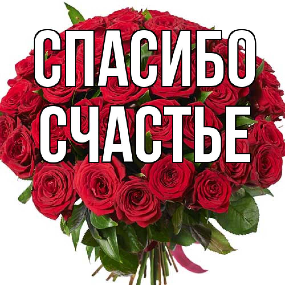 Открытка на каждый день с именем, счастье Спасибо букет красных роз Прикольная открытка с пожеланием онлайн скачать бесплатно 