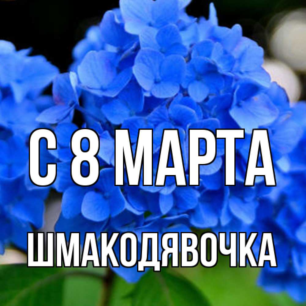 Открытка на каждый день с именем, шмакодявочка C 8 МАРТА синие цветы Прикольная открытка с пожеланием онлайн скачать бесплатно 