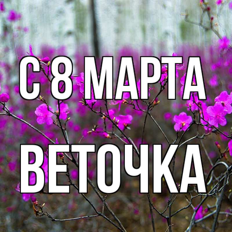 Картинка C 8 МАРТА, Веточка