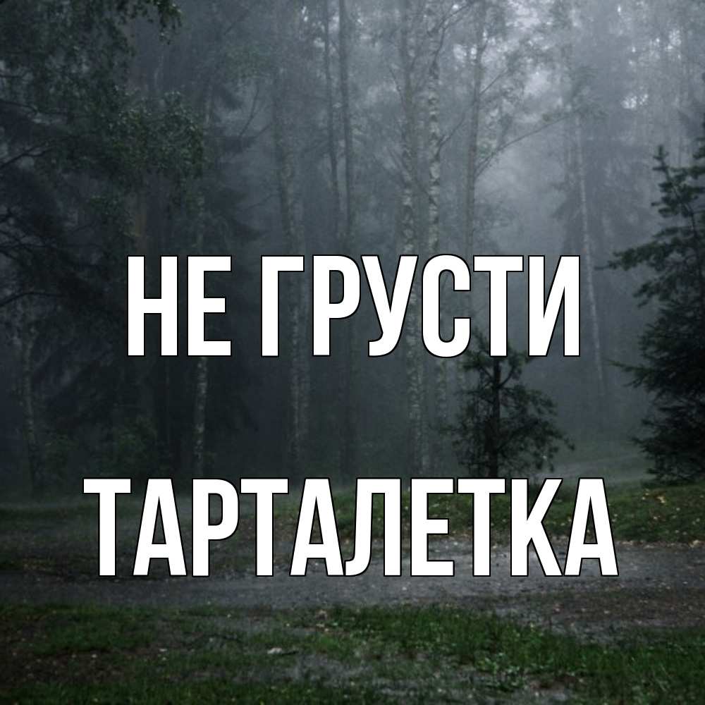 Открытка на каждый день с именем, Тарталетка Не грусти осень Прикольная открытка с пожеланием онлайн скачать бесплатно 