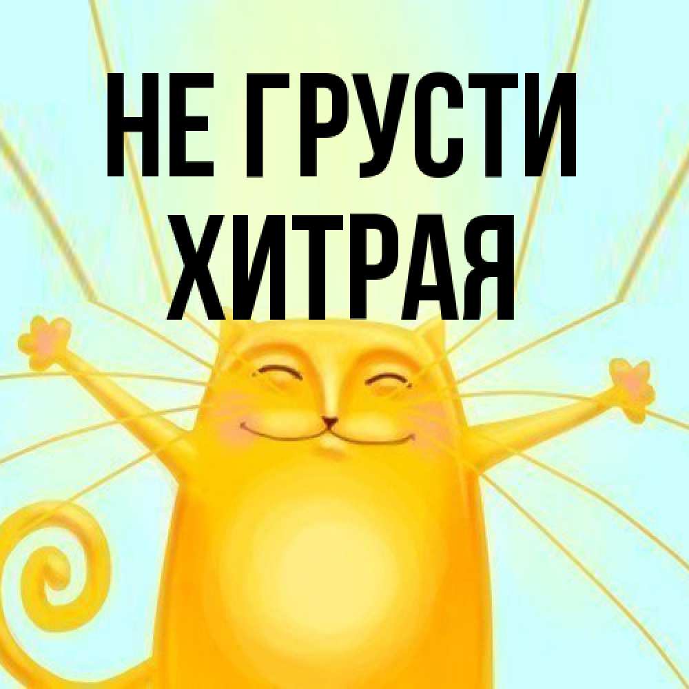 Открытка на каждый день с именем, хитрая Не грусти обнимашки усатые Прикольная открытка с пожеланием онлайн скачать бесплатно 