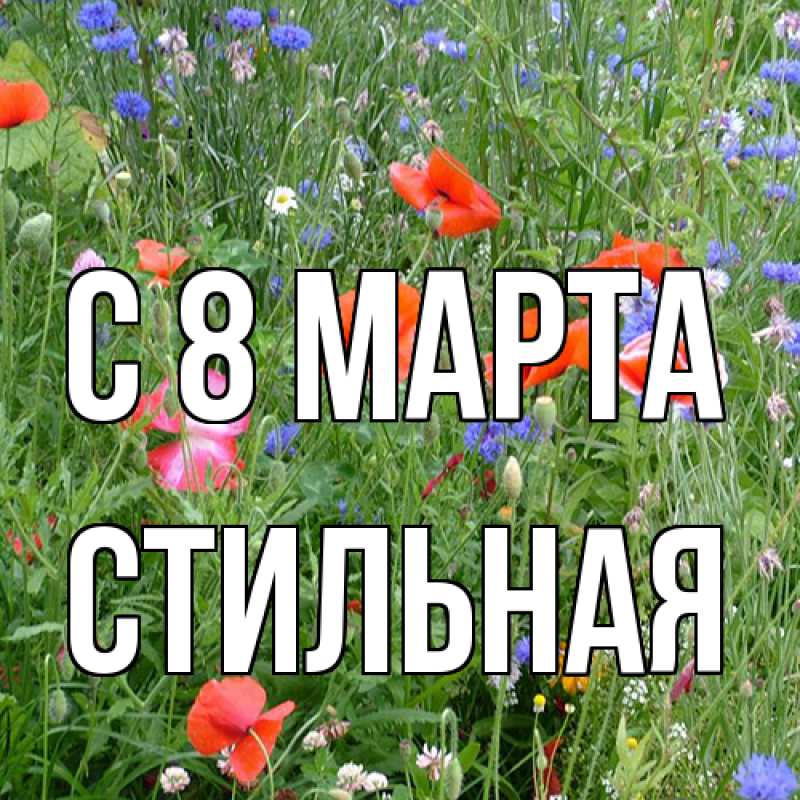 Картинка C 8 МАРТА, Стильная