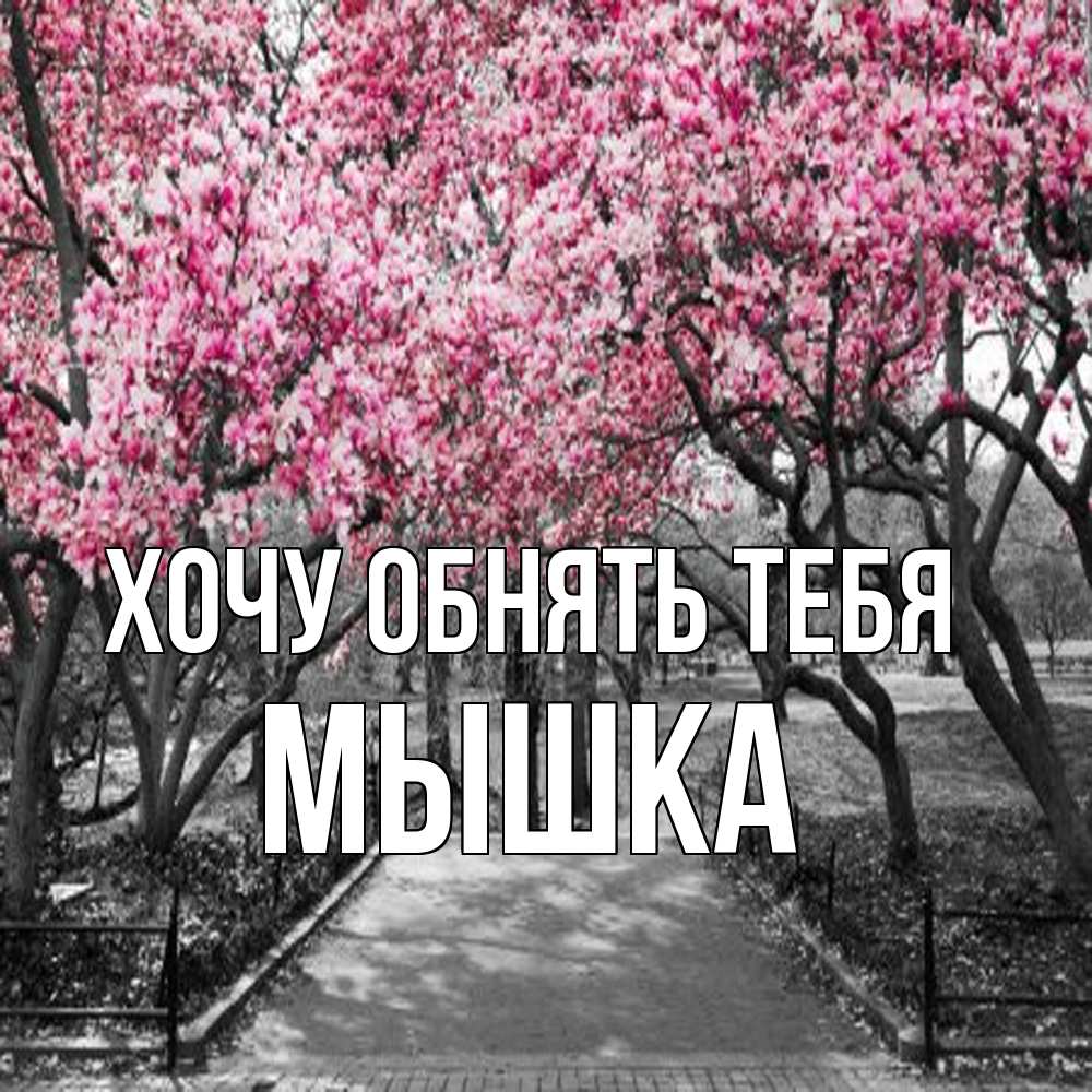 Открытка на каждый день с именем, Мышка Хочу обнять тебя обработанное фото Прикольная открытка с пожеланием онлайн скачать бесплатно 