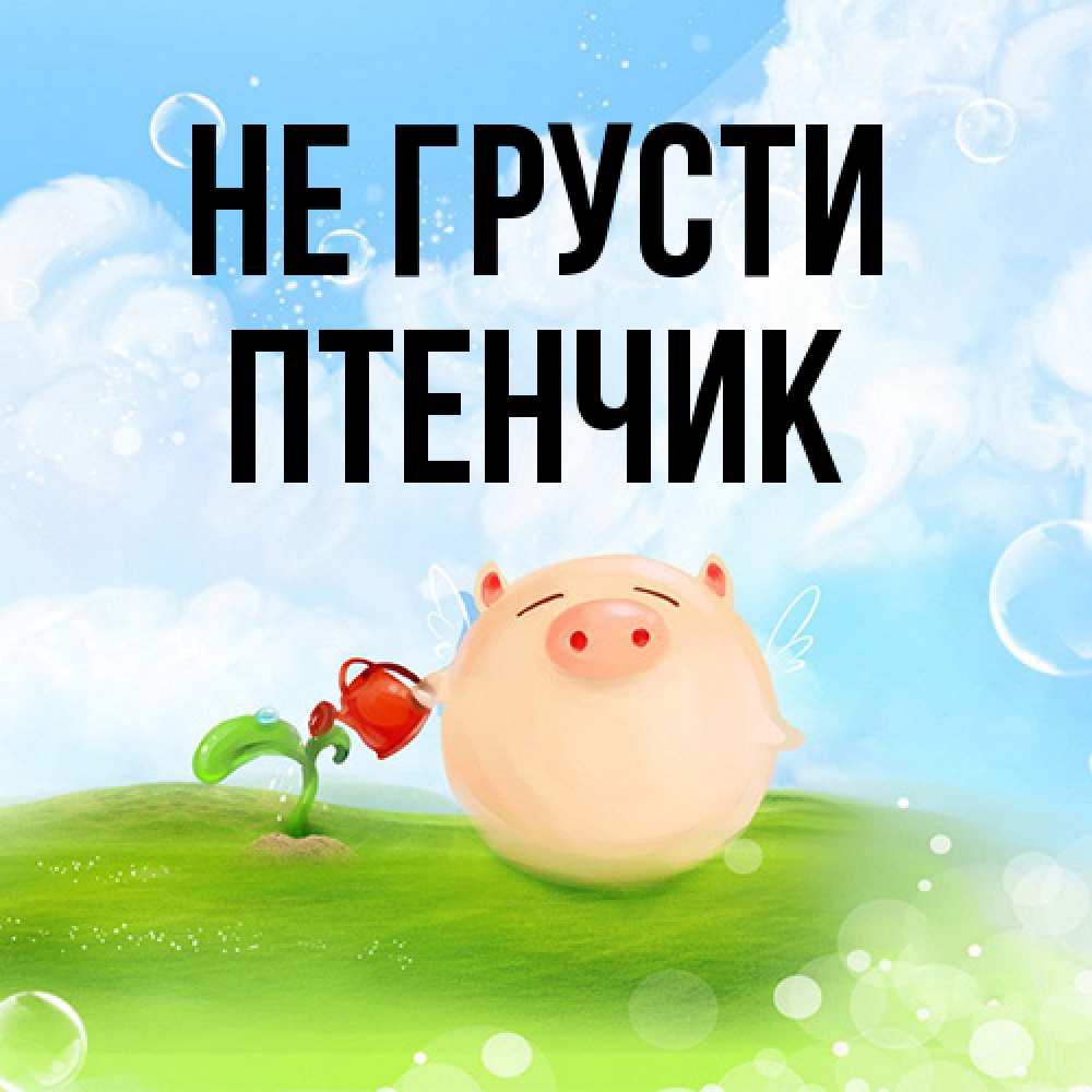 Открытка на каждый день с именем, Птенчик Не грусти поливает цветок порося Прикольная открытка с пожеланием онлайн скачать бесплатно 