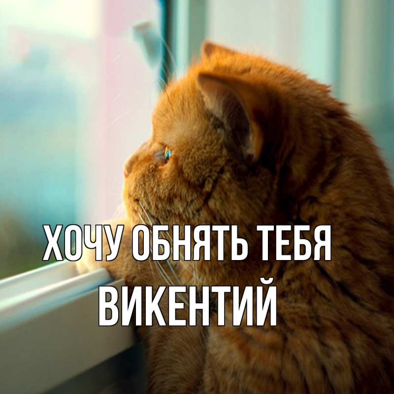 Картинка Хочу обнять тебя, Викентий