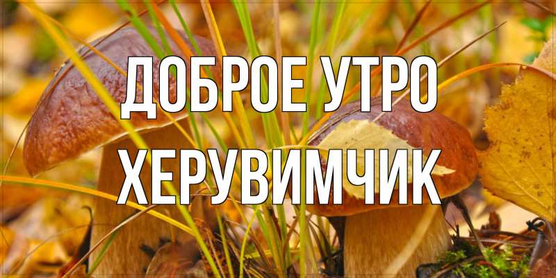 Картинка Доброе утро, Хеpувимчик