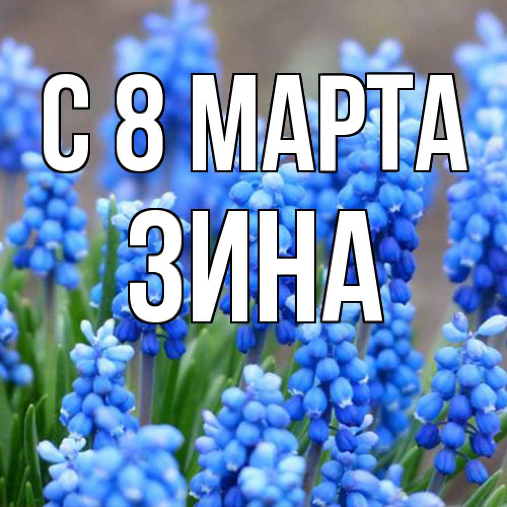 Открытка на каждый день с именем, Зина C 8 МАРТА Поздравительная открытка для женщин с цветами на праздничную дату Прикольная открытка с пожеланием онлайн скачать бесплатно 