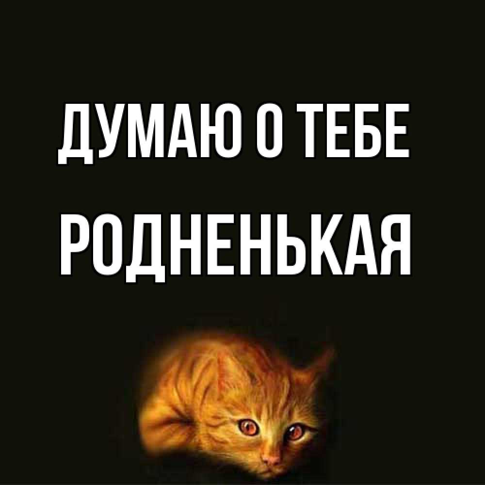 Открытка на каждый день с именем, Родненькая Думаю о тебе рыжий Прикольная открытка с пожеланием онлайн скачать бесплатно 