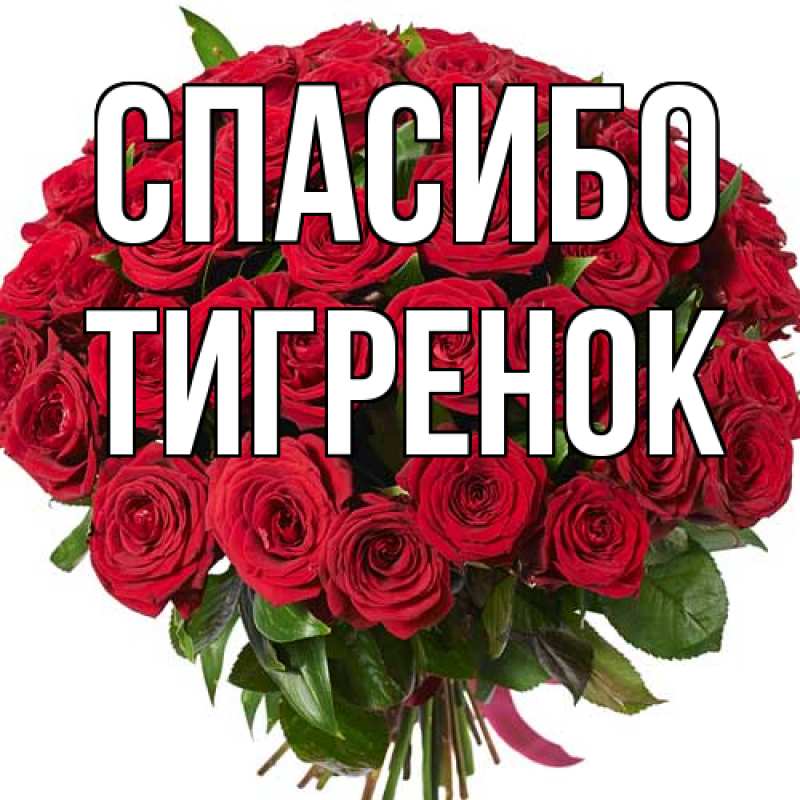 Картинка Спасибо, Тигpенок