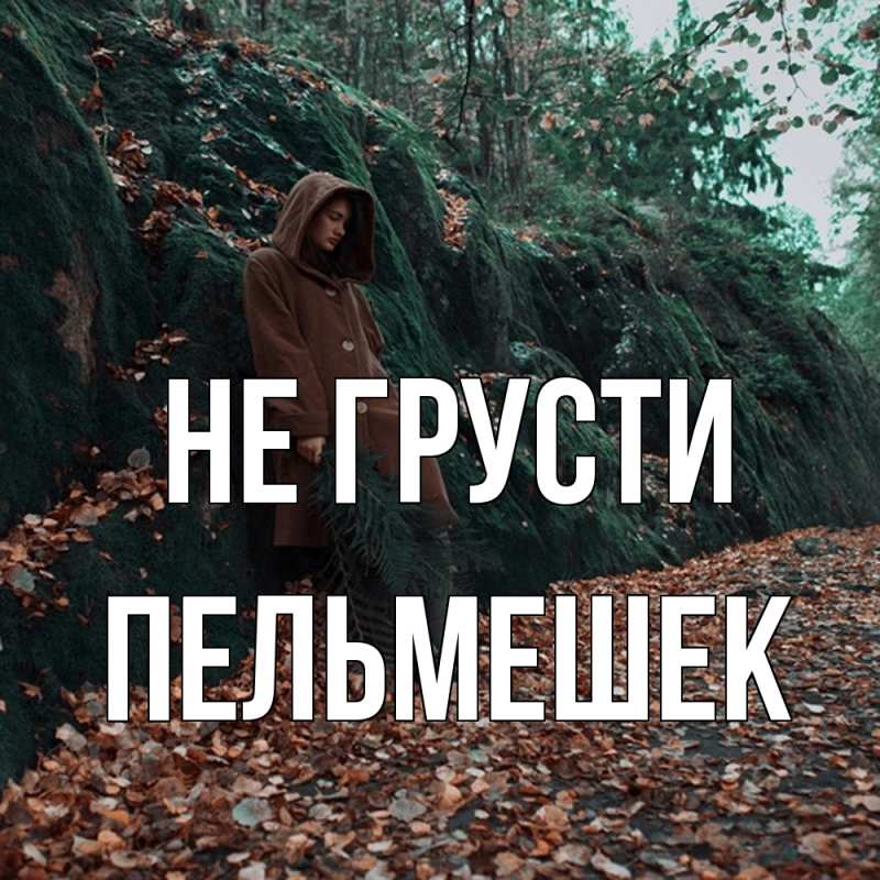 Картинка Не грусти, пельмешек