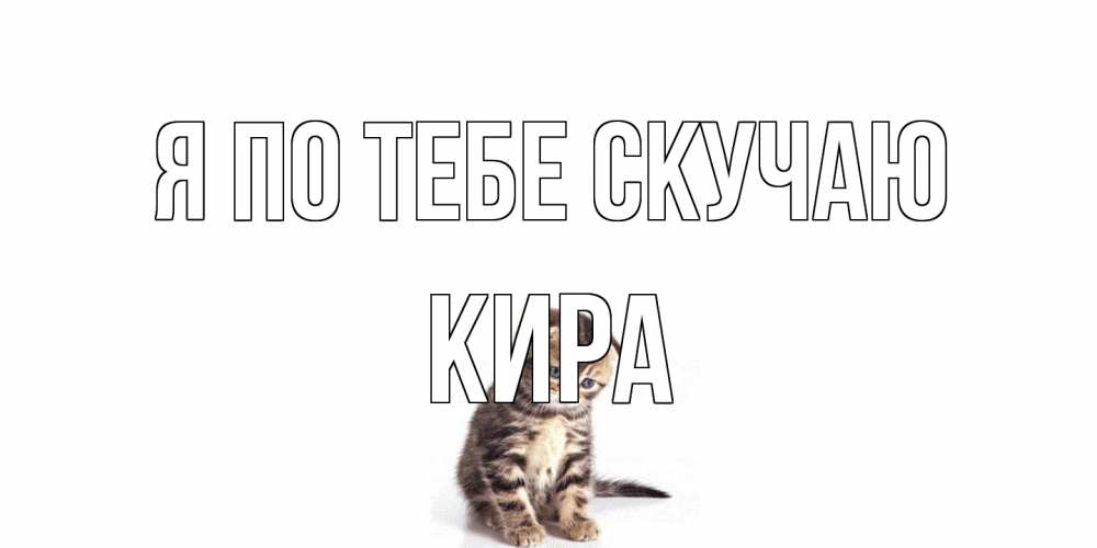 Открытка на каждый день с именем, Кира Я по тебе скучаю кот Прикольная открытка с пожеланием онлайн скачать бесплатно 
