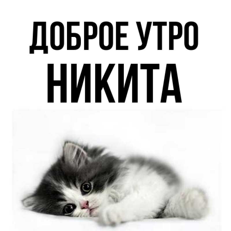 Картинка Доброе утро, Никита