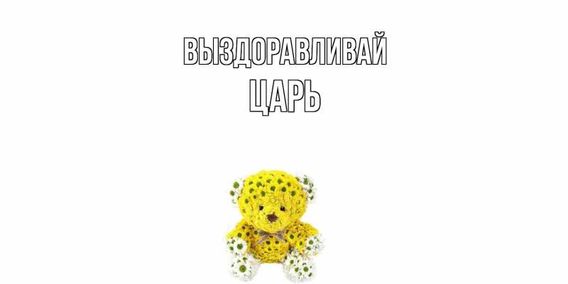 Картинка Выздоравливай, Царь