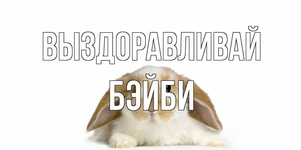 Открытка на каждый день с именем, бэйби Выздоравливай вислоухий кролик белого и коричневого цвета Прикольная открытка с пожеланием онлайн скачать бесплатно 