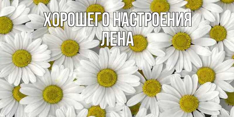 Картинка Хорошего настроения, Лена