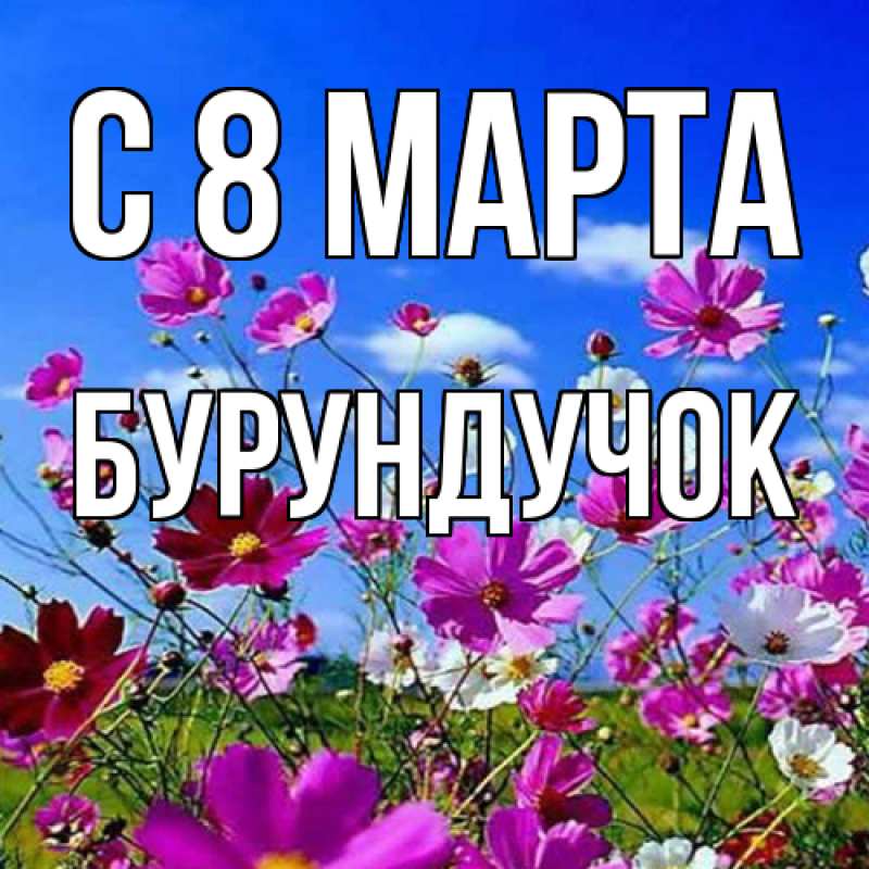 Картинка C 8 МАРТА, бурундучок