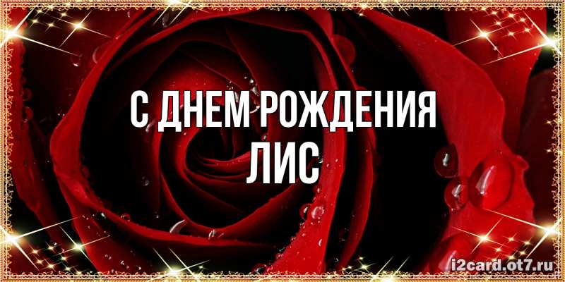 Картинка С днем рождения, лис