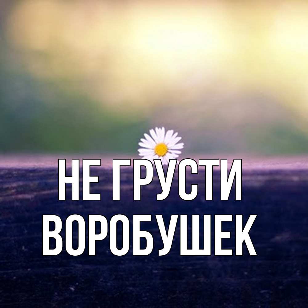 Открытка на каждый день с именем, Воробушек Не грусти красота Прикольная открытка с пожеланием онлайн скачать бесплатно 