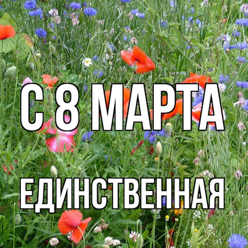 Картинка C 8 МАРТА, Единственная