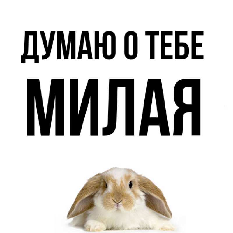 Картинка Думаю о тебе, Милая