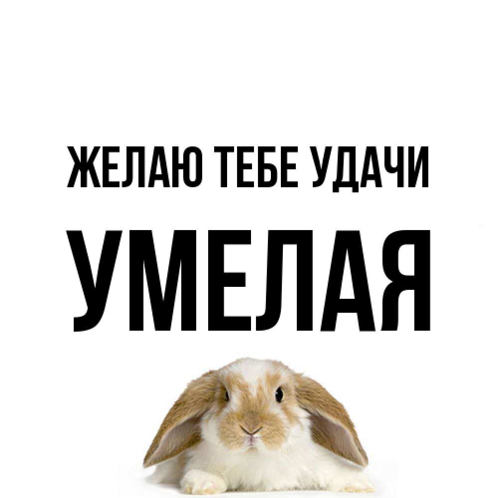 Открытка на каждый день с именем, Умелая Желаю тебе удачи открытки с произвольным текстом который можно вставить в открытку и создать ее самостоятельно бесплатно онлайн Прикольная открытка с пожеланием онлайн скачать бесплатно 