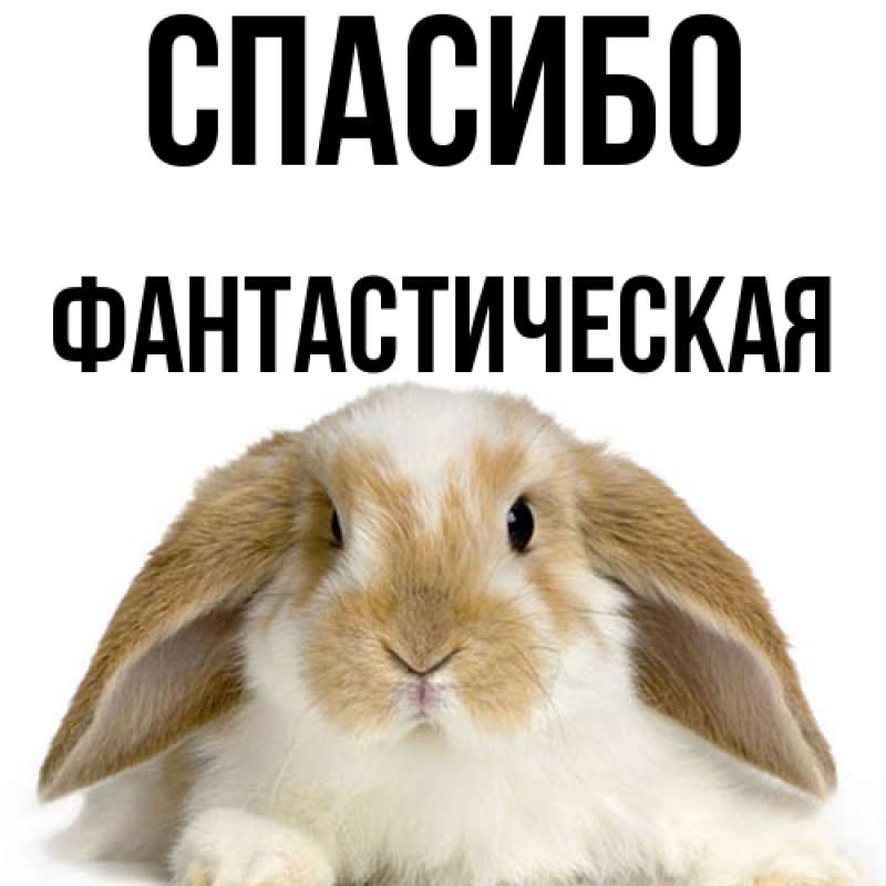 Картинка Спасибо, Фантастическая