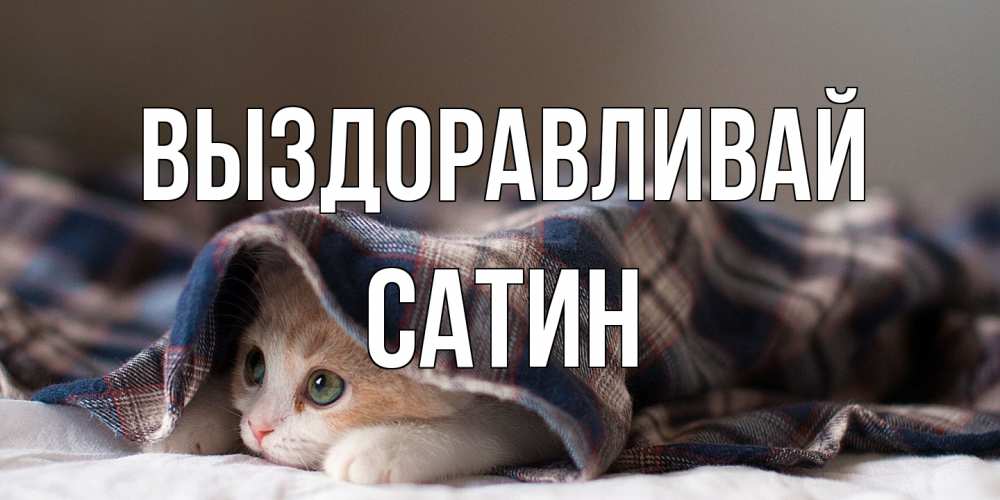 Открытка на каждый день с именем, Сатин Выздоравливай не болейте с котиком Прикольная открытка с пожеланием онлайн скачать бесплатно 