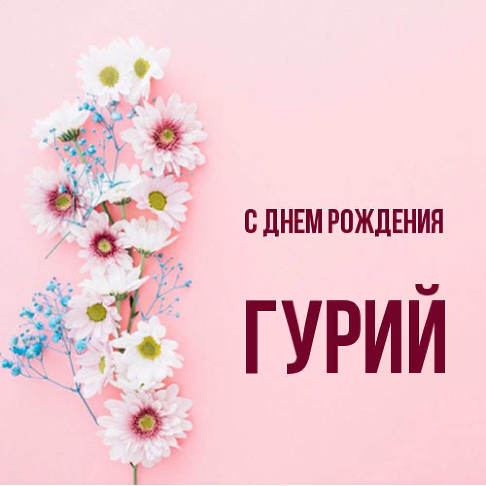 Открытка на каждый день с именем, Гурий С днем рождения Родная моя с днем рождения тебя картинка с цветами белыми и голубыми Прикольная открытка с пожеланием онлайн скачать бесплатно 