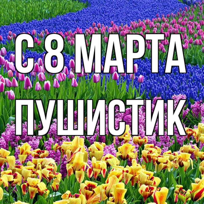 Картинка C 8 МАРТА, Пушистик