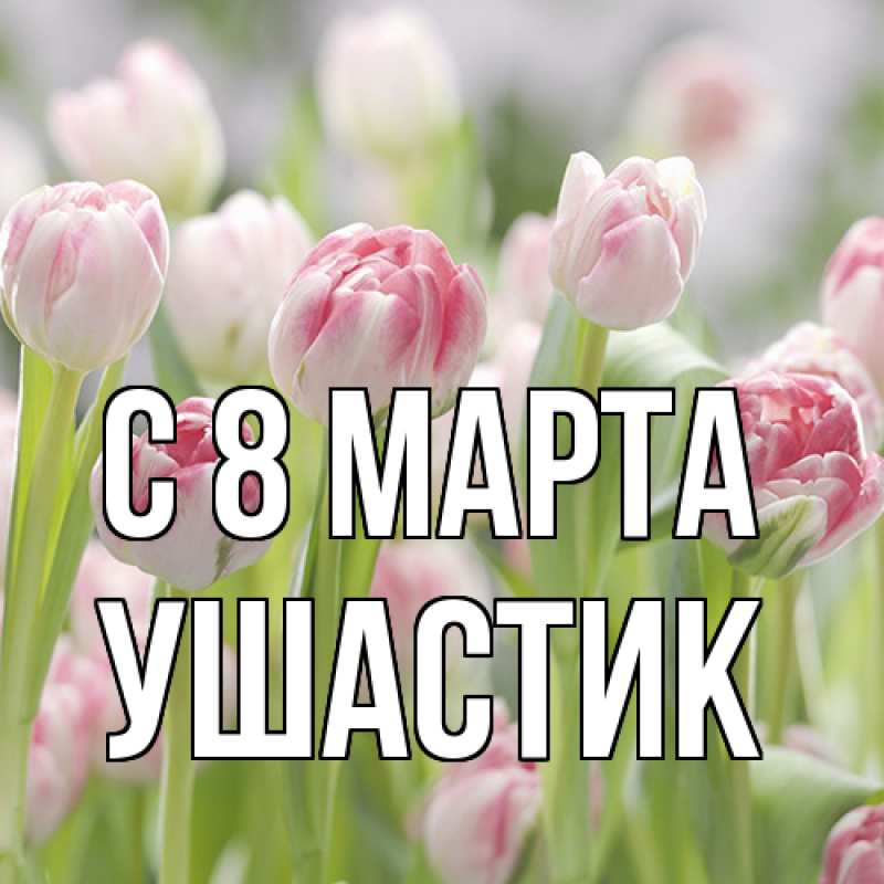 Картинка C 8 МАРТА, Ушастик