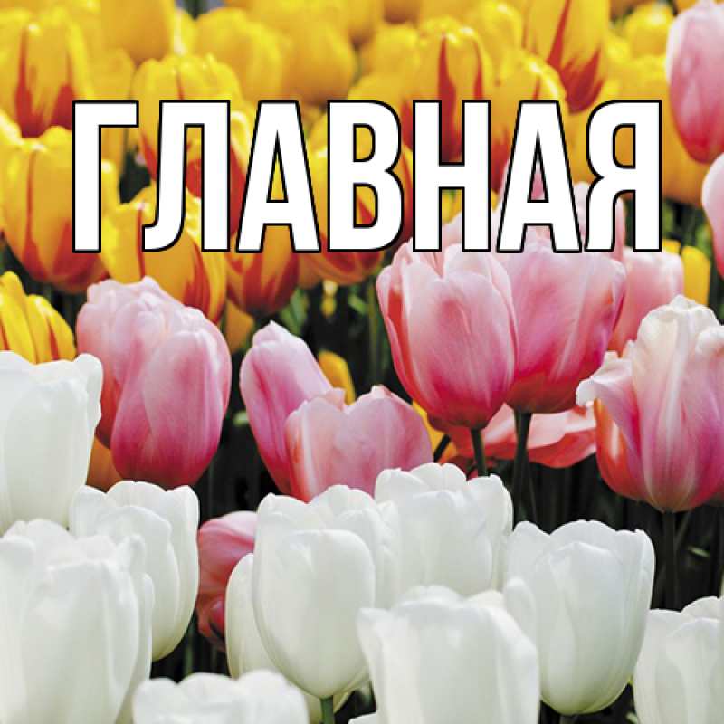 Картинка  с именем , настя