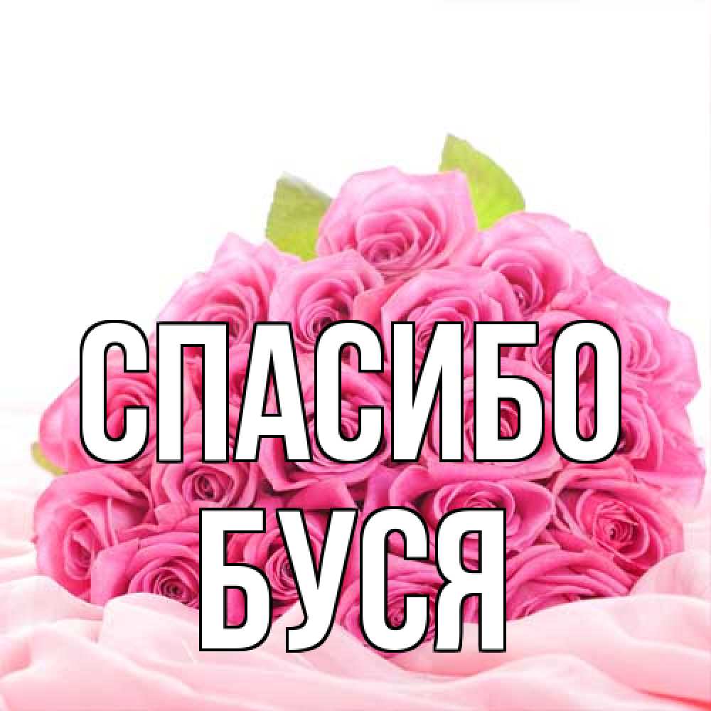Открытка на каждый день с именем, Буся Спасибо розовые розы с подписью Прикольная открытка с пожеланием онлайн скачать бесплатно 