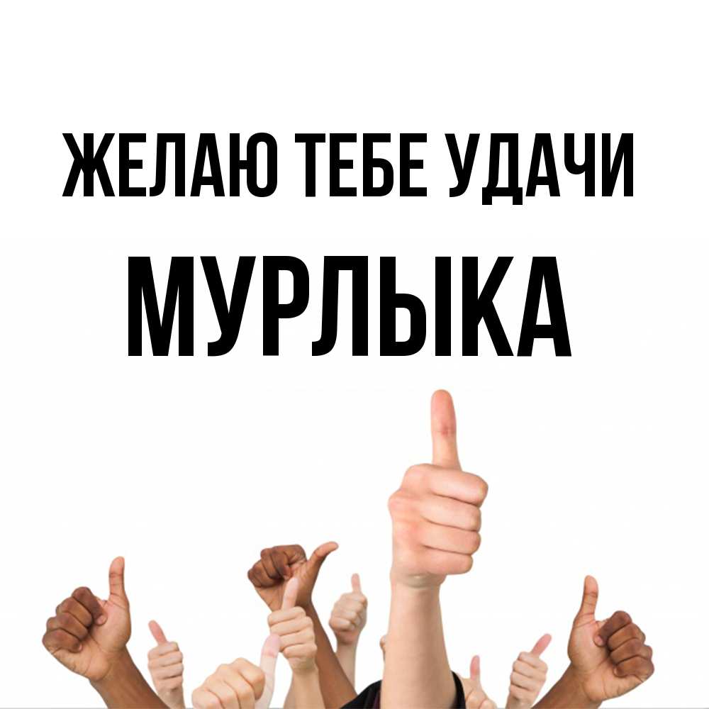Открытка на каждый день с именем, мурлыка Желаю тебе удачи молодцом Прикольная открытка с пожеланием онлайн скачать бесплатно 