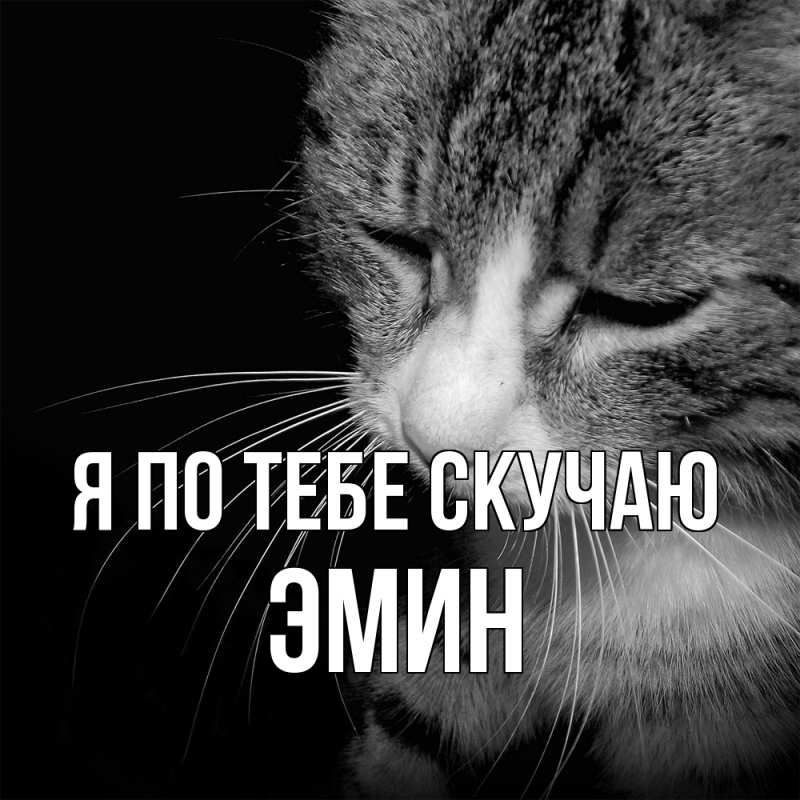 Картинка Я по тебе скучаю, Эмин