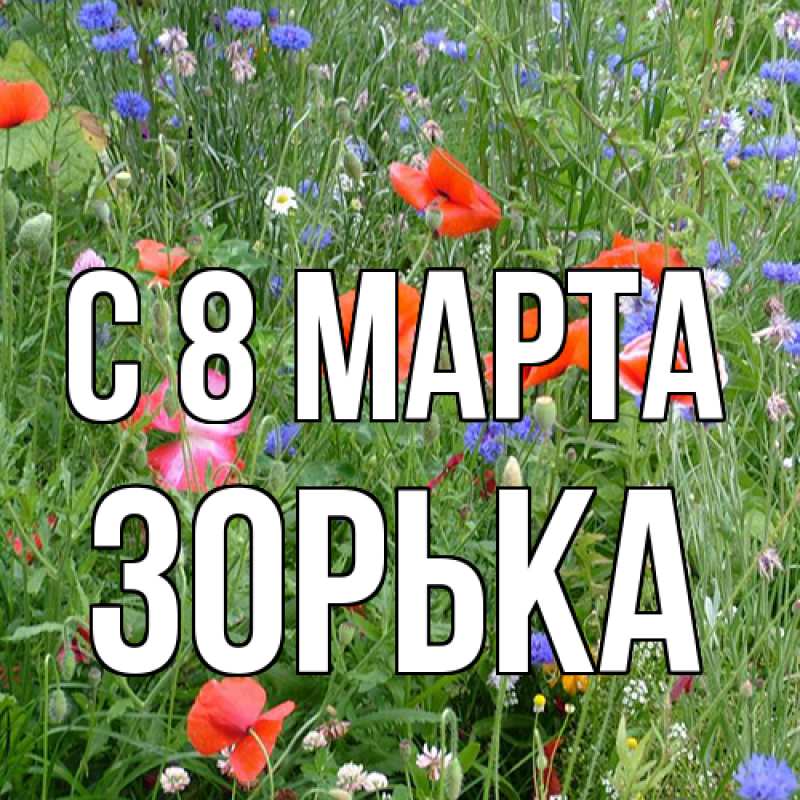Картинка C 8 МАРТА, Зоpька