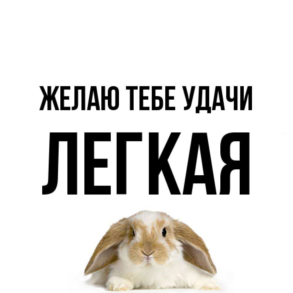 Открытка на каждый день с именем, Легкая Желаю тебе удачи открытки с произвольным текстом который можно вставить в открытку и создать ее самостоятельно бесплатно онлайн Прикольная открытка с пожеланием онлайн скачать бесплатно 