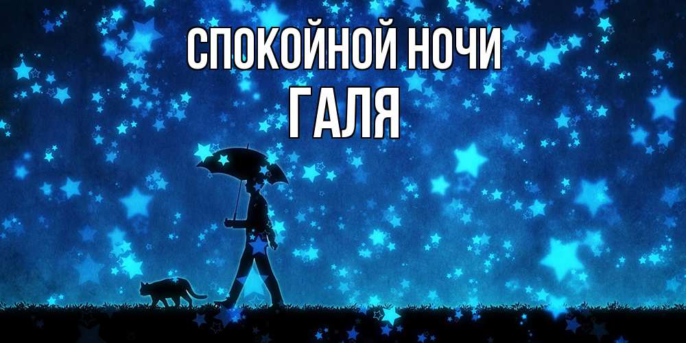 Открытка на каждый день с именем, Галя Спокойной ночи ночные прогулки с котом под звездами Прикольная открытка с пожеланием онлайн скачать бесплатно 