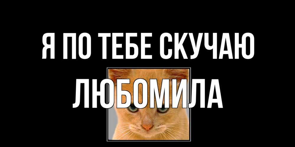 Открытка на каждый день с именем, Любомила Я по тебе скучаю открытки рыжий котенок скучает по тебе Прикольная открытка с пожеланием онлайн скачать бесплатно 
