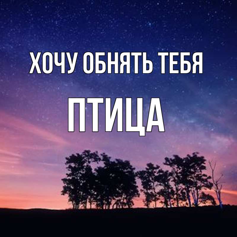 Картинка Хочу обнять тебя, Птица