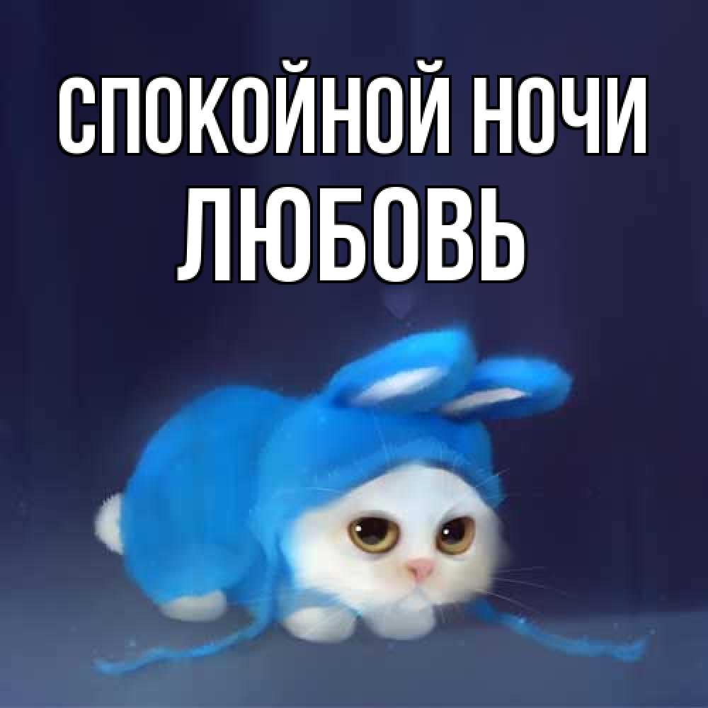 Открытка на каждый день с именем, Любовь Спокойной ночи кот в голубом костюме кролика с ушками Прикольная открытка с пожеланием онлайн скачать бесплатно 