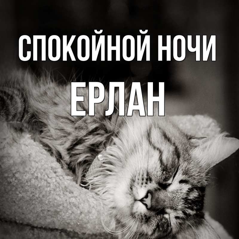 Картинка Спокойной ночи, Ерлан