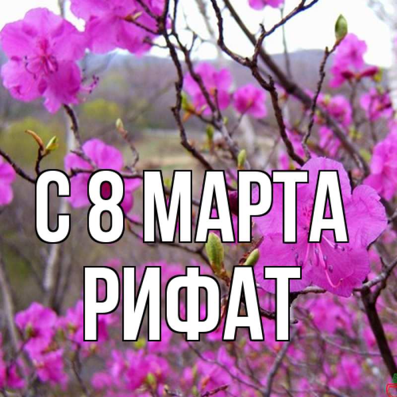 Картинка C 8 МАРТА, Рифат