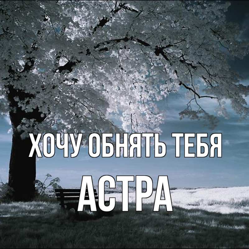 Картинка Хочу обнять тебя, Астра