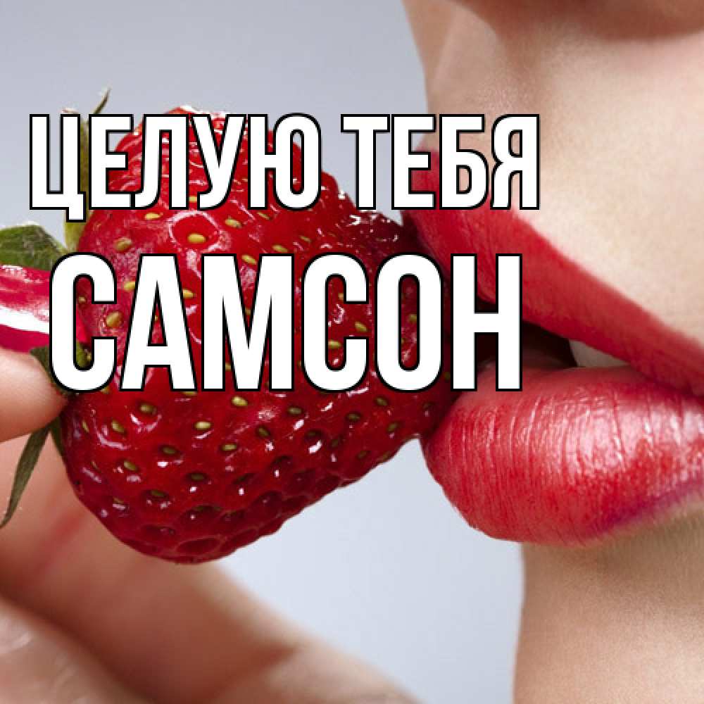 Открытка на каждый день с именем, Самсон Целую тебя губки держат клубничку Прикольная открытка с пожеланием онлайн скачать бесплатно 
