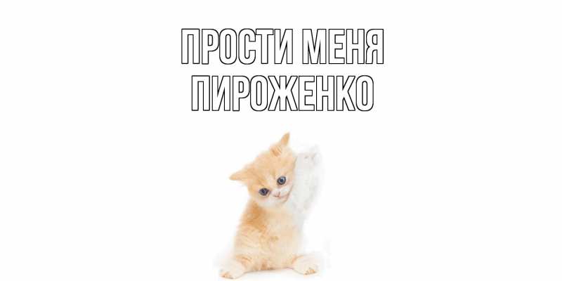 Картинка Прости меня, Пироженко