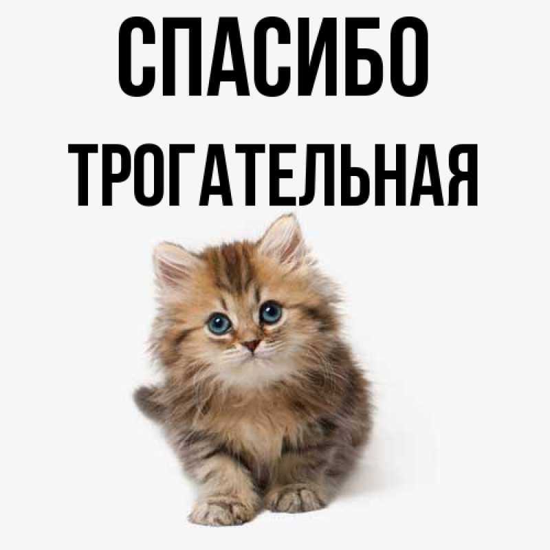 Картинка Спасибо, Трогательная
